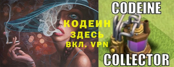 ПСИЛОЦИБИНОВЫЕ ГРИБЫ Алзамай