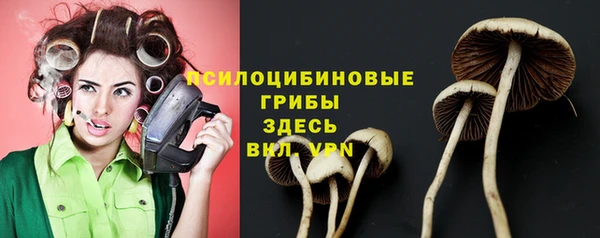 соль ск Алексеевка