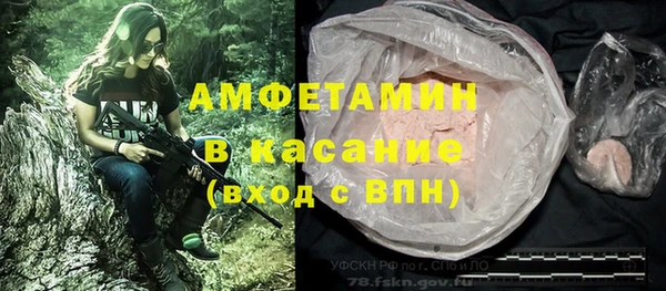 ПСИЛОЦИБИНОВЫЕ ГРИБЫ Алзамай