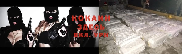 соль ск Алексеевка