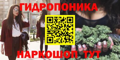 гидропоника Бийск