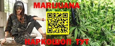 Альфа ПВП Беслан