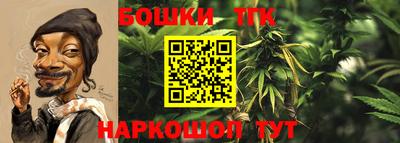 гидропоника Бийск