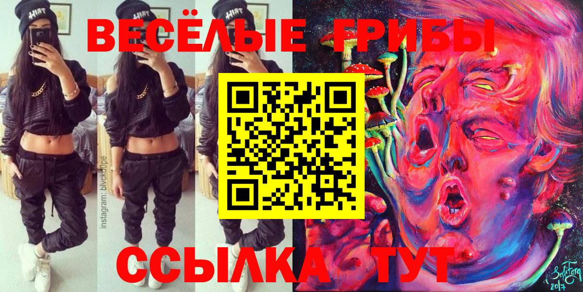 Апрелевка  Галлюциногенные грибы прущие грибы  Вход с VPN 