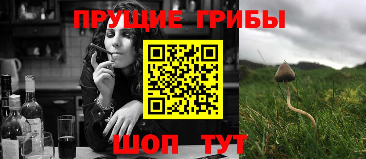 Псилоцибиновые грибы Cubensis Апрелевка